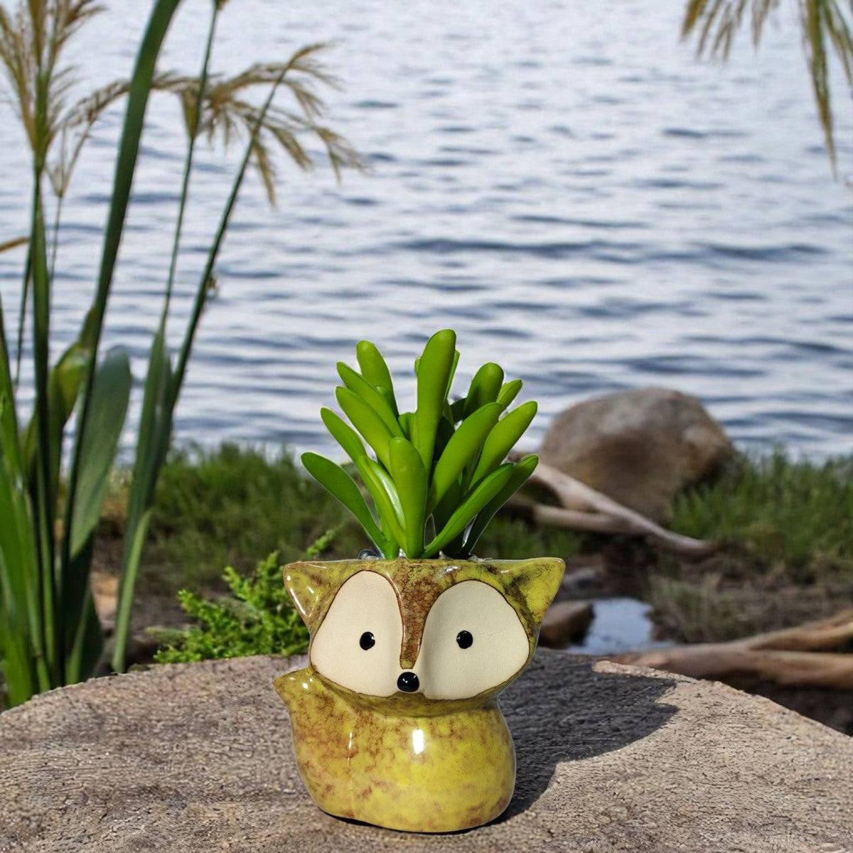 Artificial Succulent Plant with Cute Ceramic Pot for Home Decor - (Pack of 4)