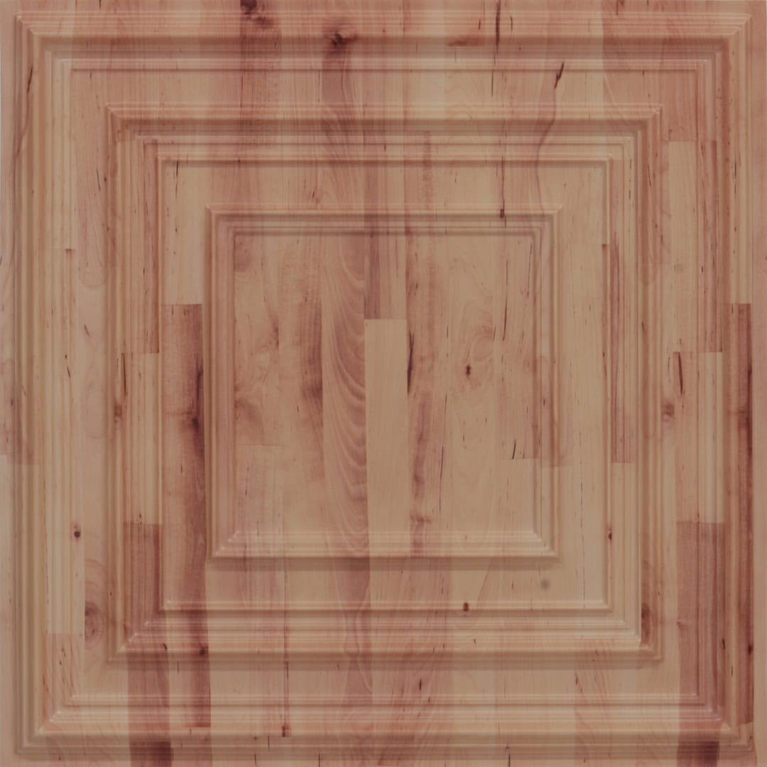 Modern PVC False Ceiling - 60x60 cm Accent Design
