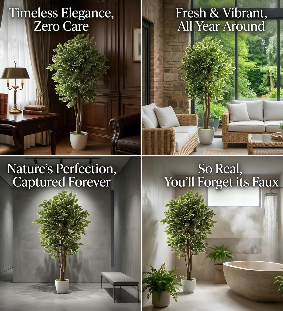 Artificial Ficus Plant Natural Wood Trunk & White-Edged Leaves with Pot